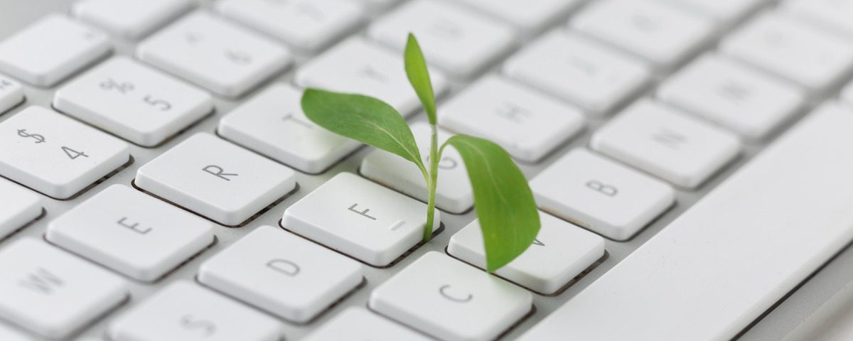 Blog para bioeconomia