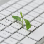 Blog para bioeconomia