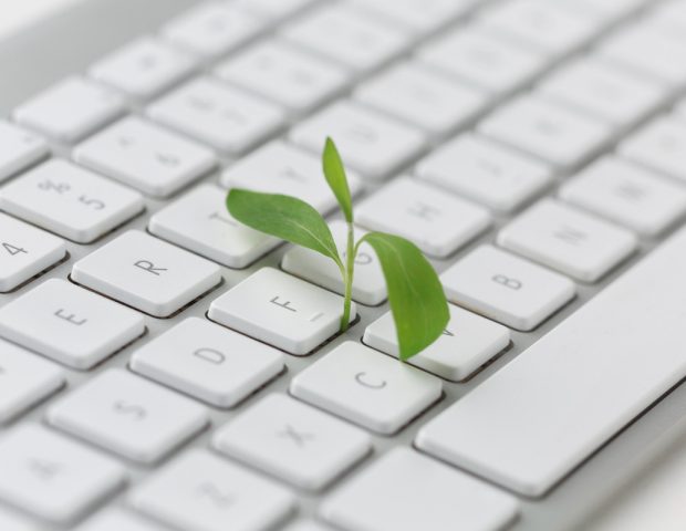 Blog para bioeconomia