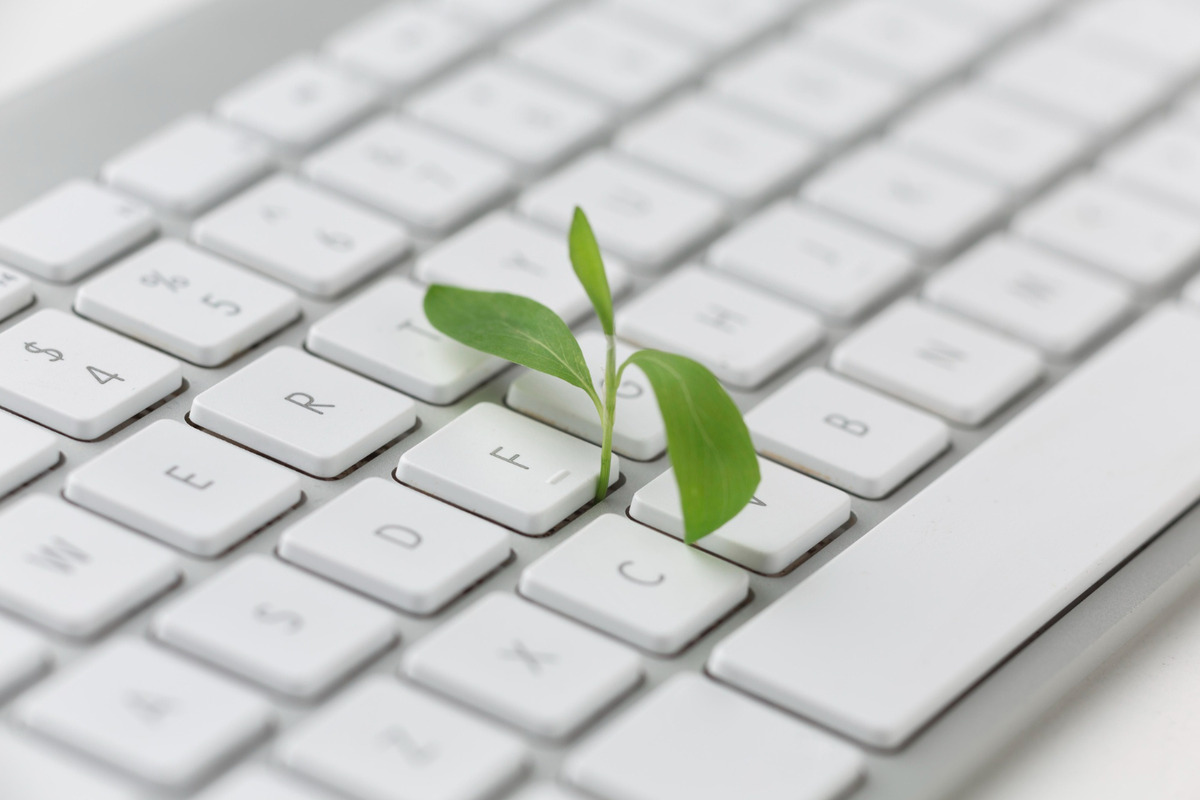 Blog para bioeconomia