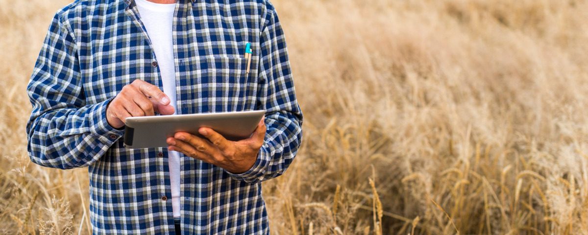 Conteúdo técnico para agronegócio