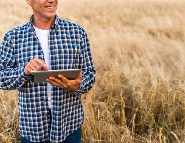 Conteúdo técnico para agronegócio