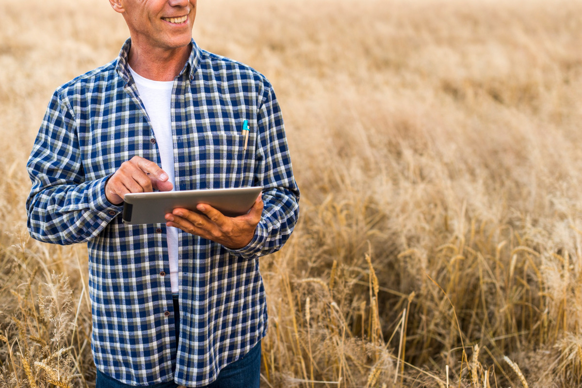 Conteúdo técnico para agronegócio